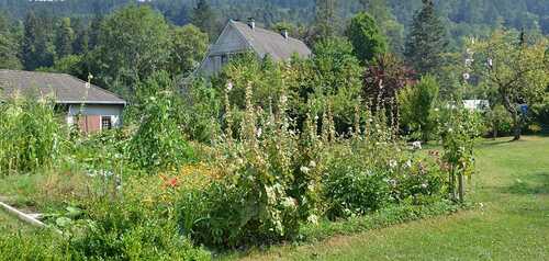Gartenprojekt in Bregenz St. Gallus / Katholische Kirche Vorarlberg / Johanna Berger